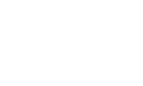 white_logo_transparent_background-1